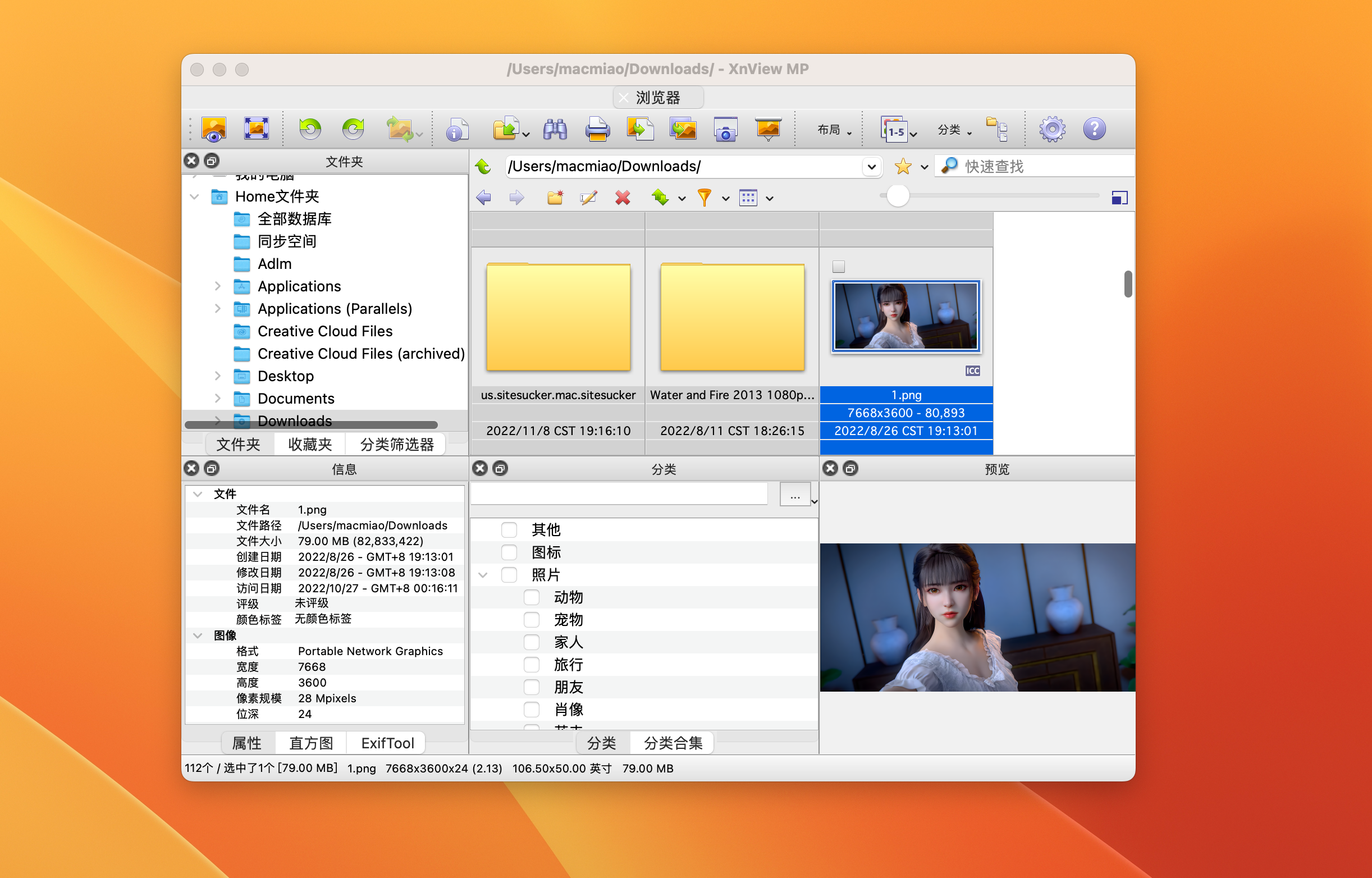XnViewMP for Mac v1.4.0 激活版 图片浏览软件插图3 XnViewMP for Mac v1.4.0 激活版 图片浏览软件