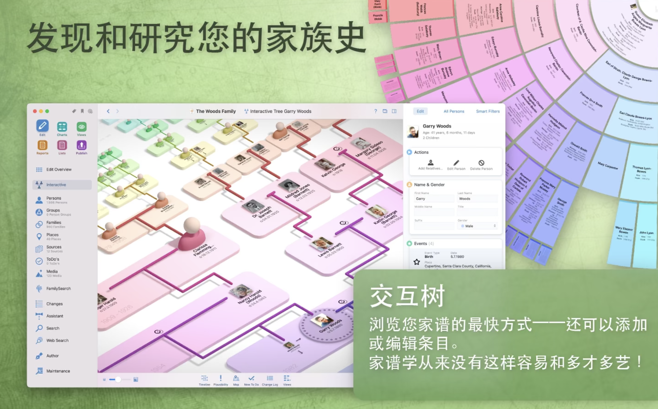 MacFamilyTree for Mac v10.0.7 中文激活版 家谱族谱制作