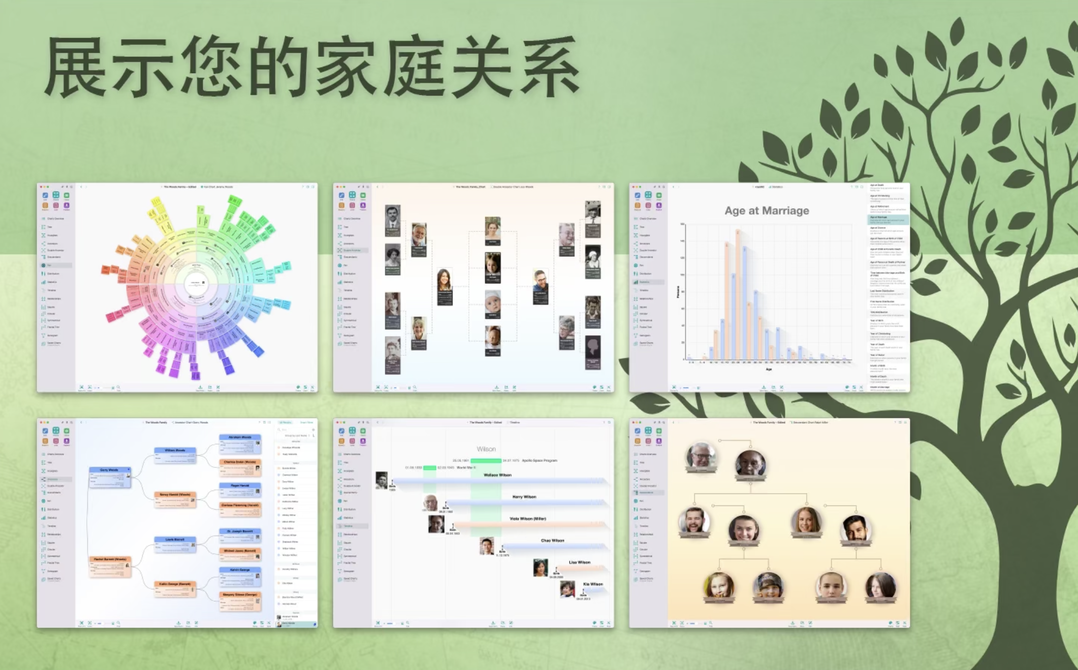 MacFamilyTree for Mac v10.0.7 中文激活版 家谱族谱制作