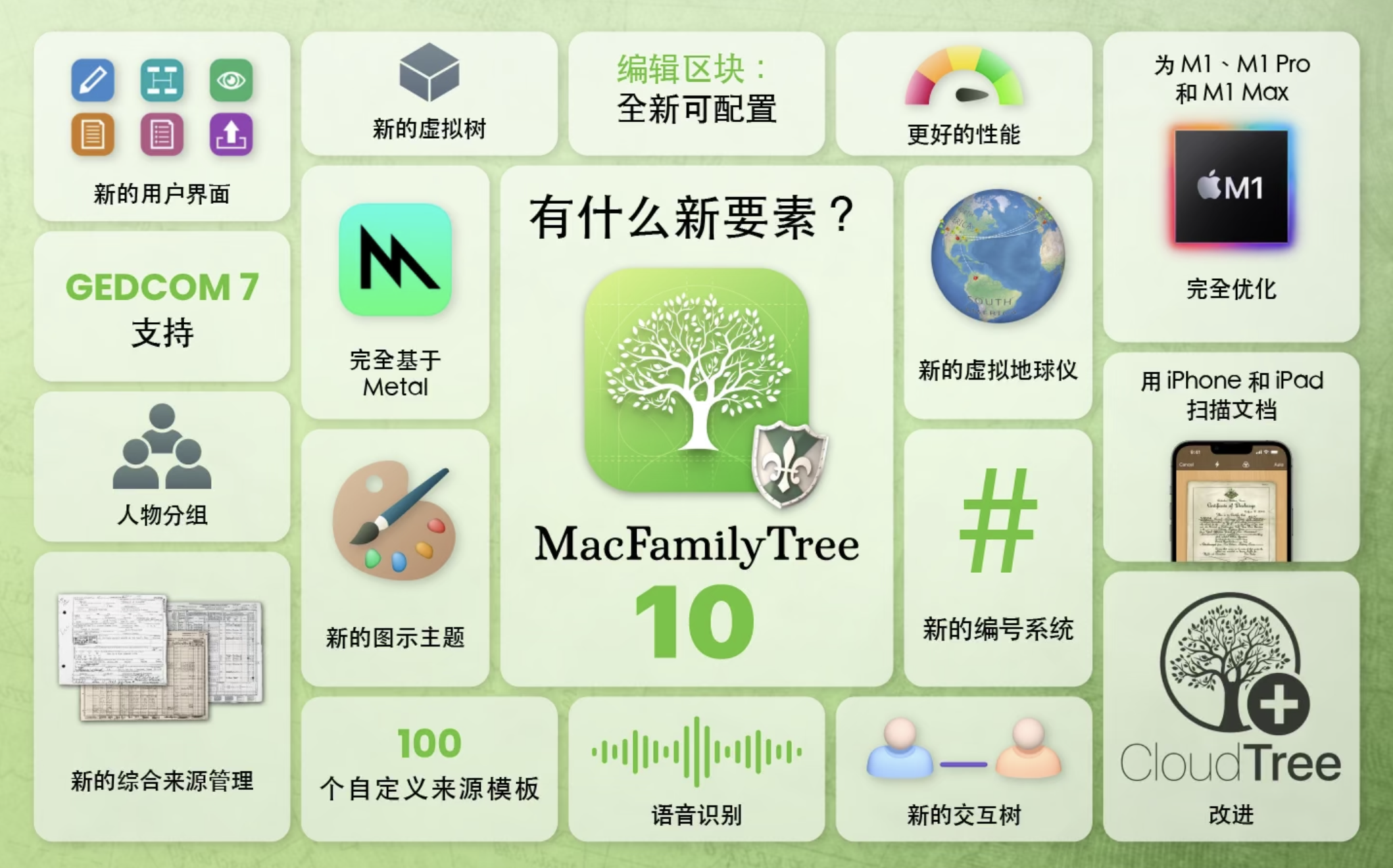 MacFamilyTree for Mac v10.0.7 中文激活版 家谱族谱制作