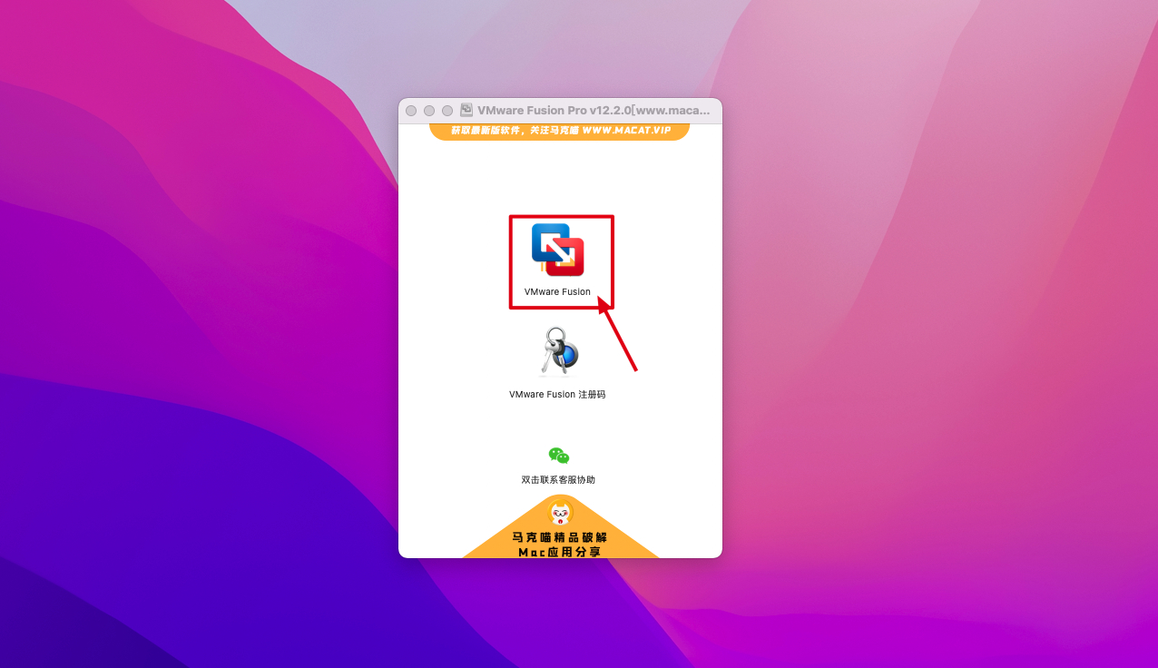  VMware Fusion Pro 12 Mac v12.2.0激活版 全新vm虚拟机