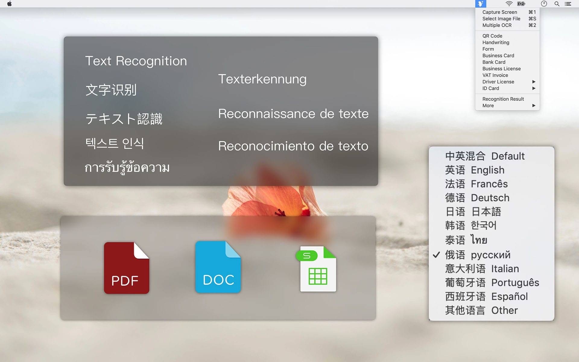 Text Scanner 1.4.1 文字扫描识别工具