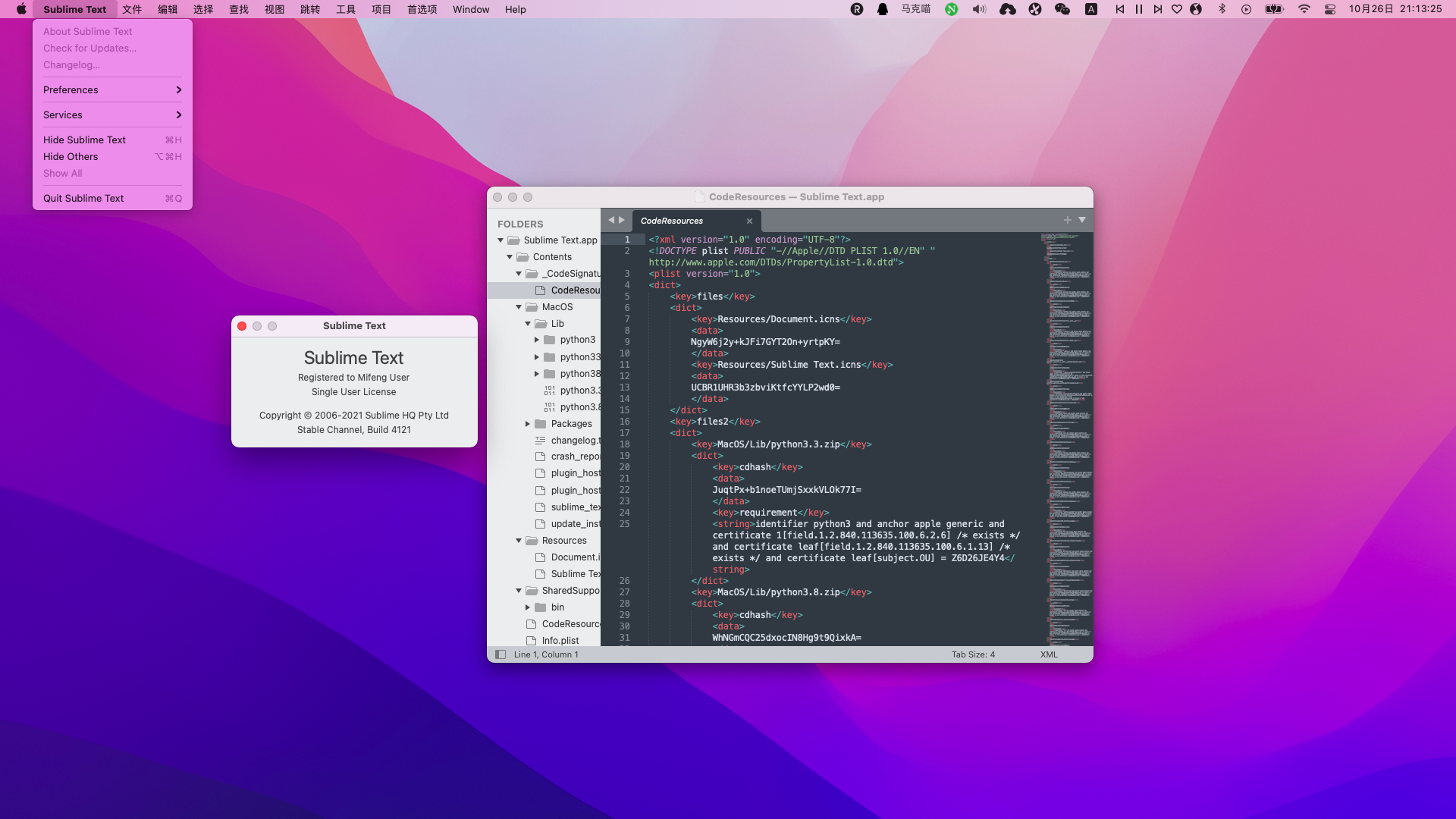  Sublime Text v4.0(4133) 中文破解版 超棒的代码编辑器
