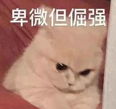 菜单栏及桌面歌词显示 LyricsX for Mac v1.6.2-beta.1 中文版 Touch Bar永久菜单栏及桌面歌词显示,解决QQ音乐不能最小化!插图2 菜单栏及桌面歌词显示 LyricsX for Mac v1.6.2-beta.1 中文版 Touch Bar永久菜单栏及桌面歌词显示,解决QQ音乐不能最小化!