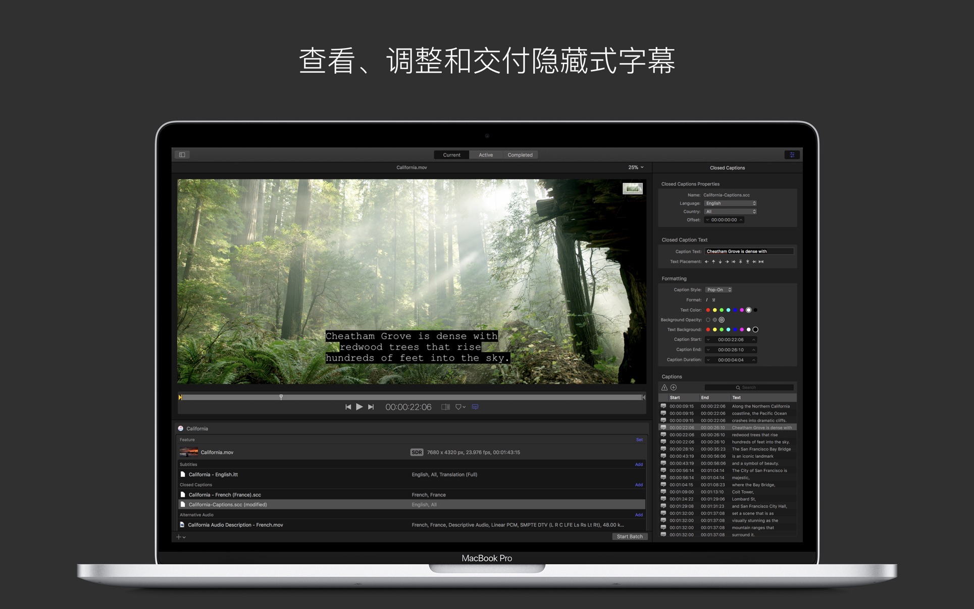 Compressor 4.4.6 苹果官方出品视频解码格式转换工具插图3 Compressor 4.4.6 苹果官方出品视频解码格式转换工具