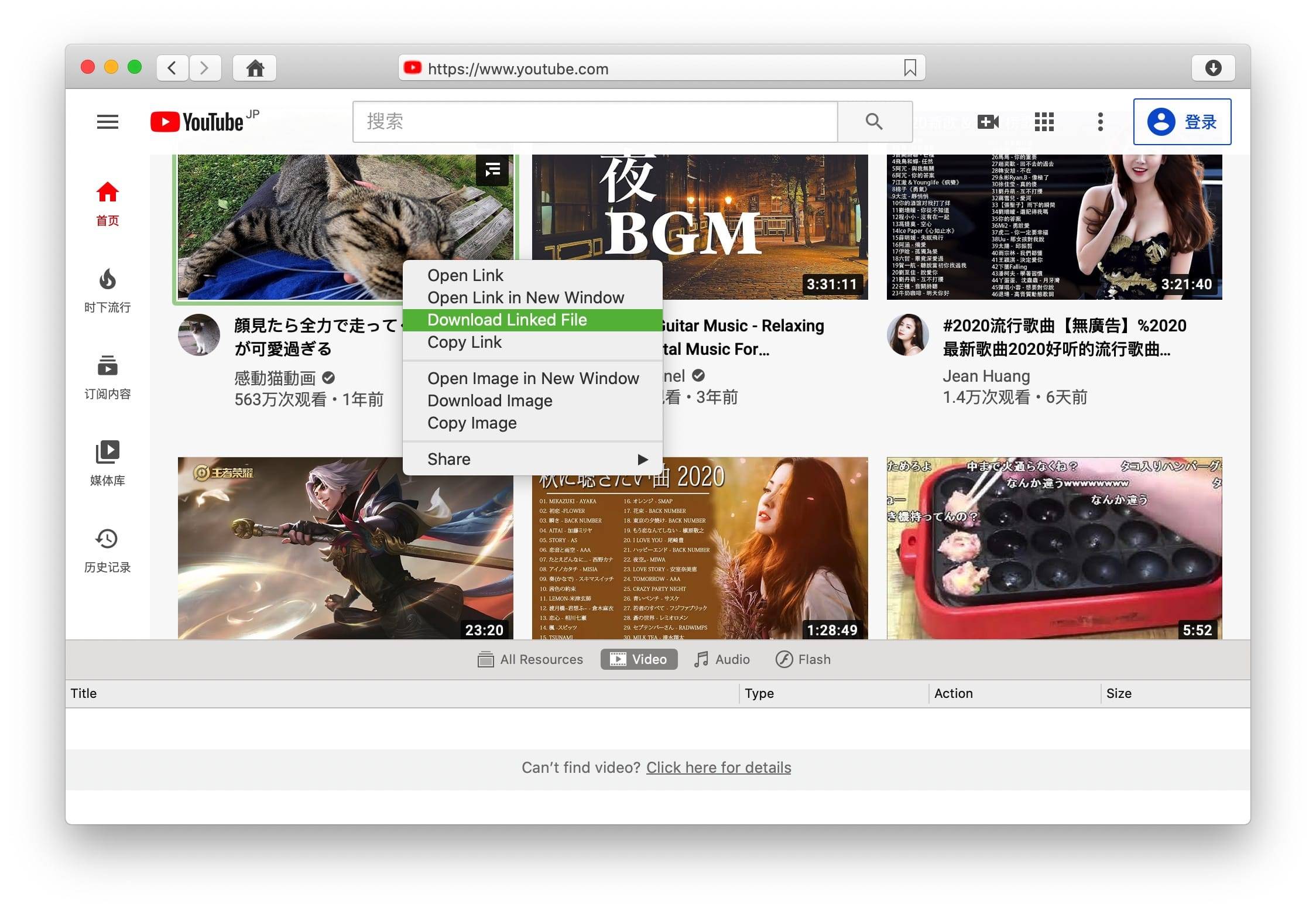 VideoDuke 1.13 (287) 破解版 很棒的视频下载工具 上传下载 第2张- VideoDuke 1.13 (287) 破解版 很棒的视频下载工具