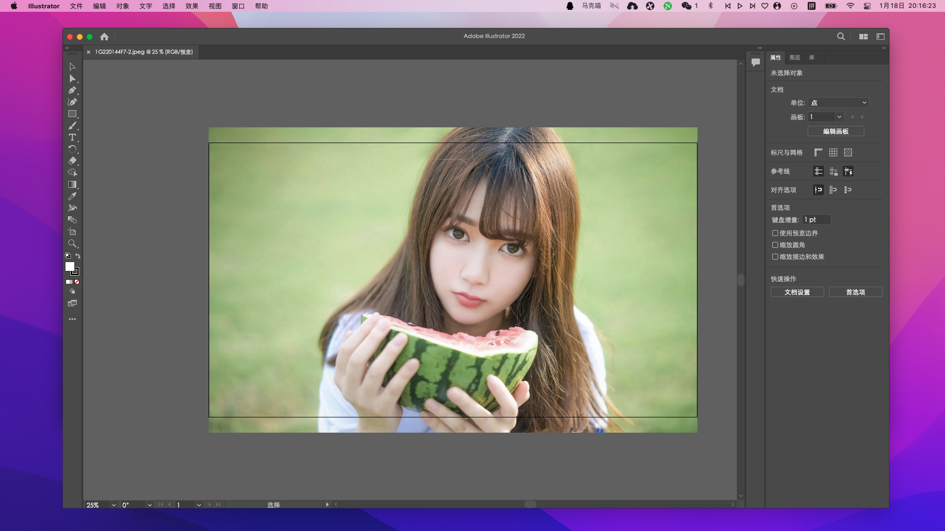 Illustrator 2022 for Mac v26.1激活版 intel/M1通用 (Ai 2022中文版)插图4 Illustrator 2022 for Mac v26.1激活版 intel/M1通用 (Ai 2022中文版)