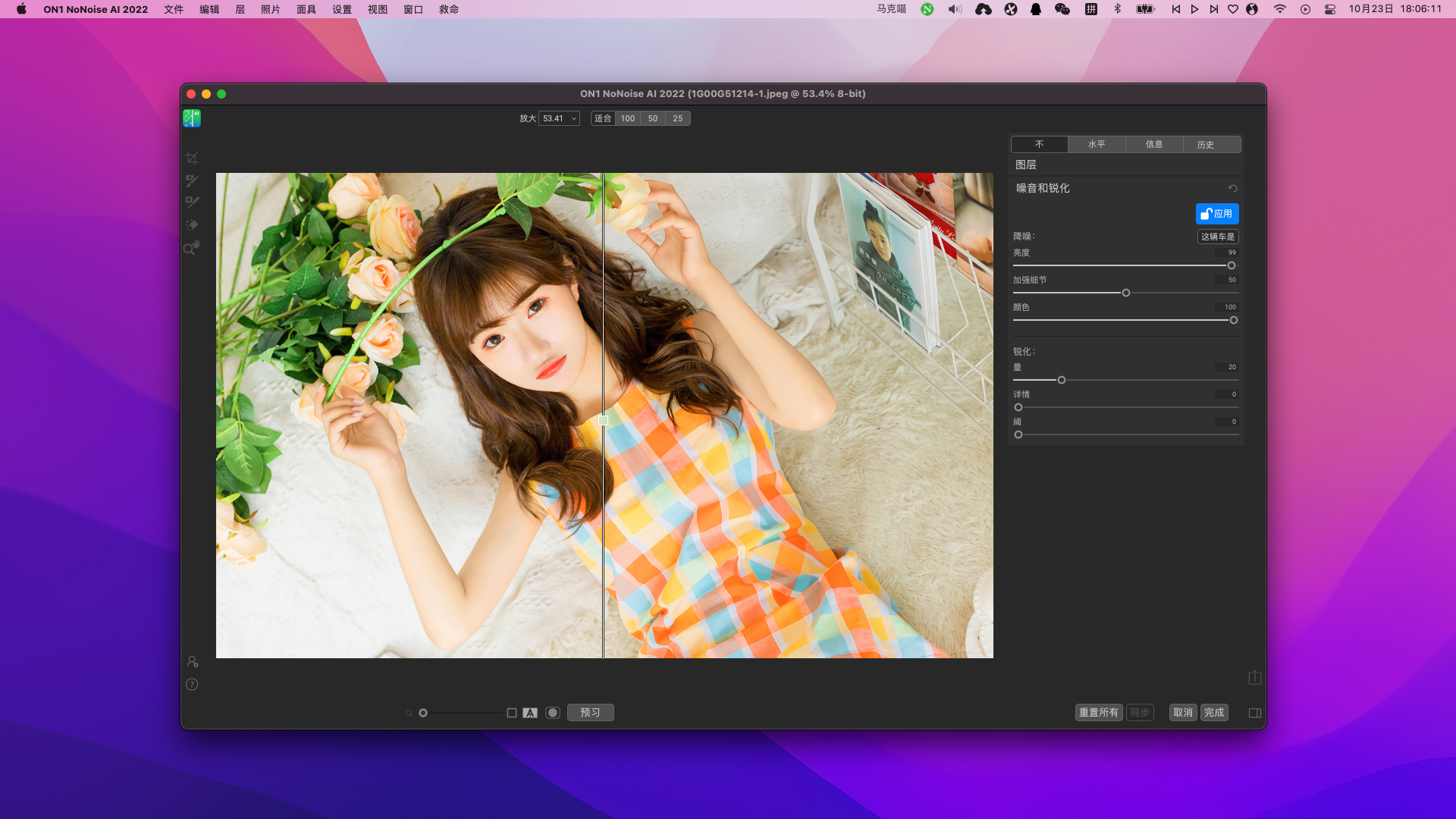 ON1 NoNoise AI 2022 v16.1.0.11675文破解版 摄影照片降噪工具插图 ON1 NoNoise AI 2022 v16.1.0.11675文破解版 摄影照片降噪工具