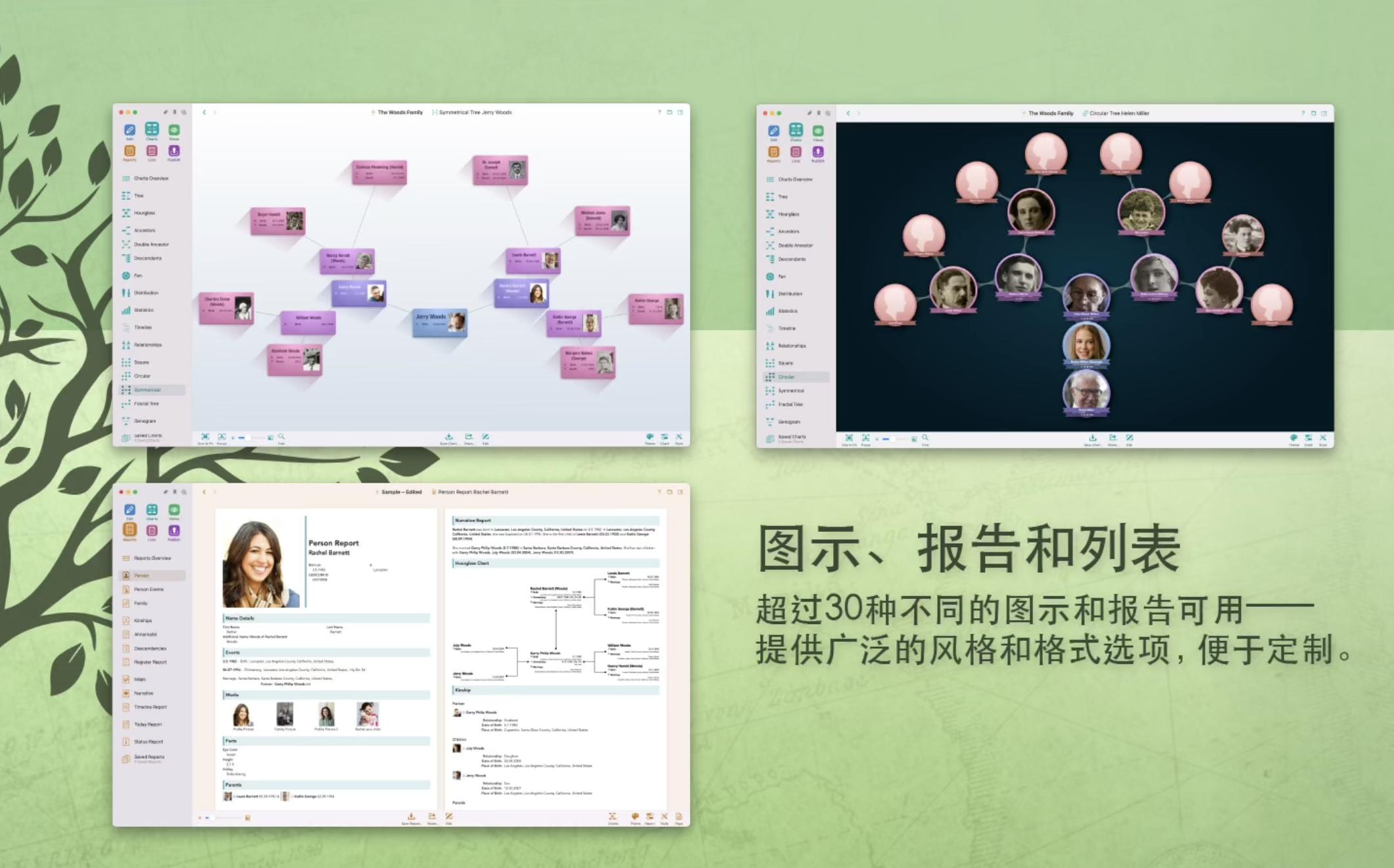 MacFamilyTree for Mac v10.1.0 中文激活版 家谱族谱制作插图4 MacFamilyTree for Mac v10.1.0 中文激活版 家谱族谱制作