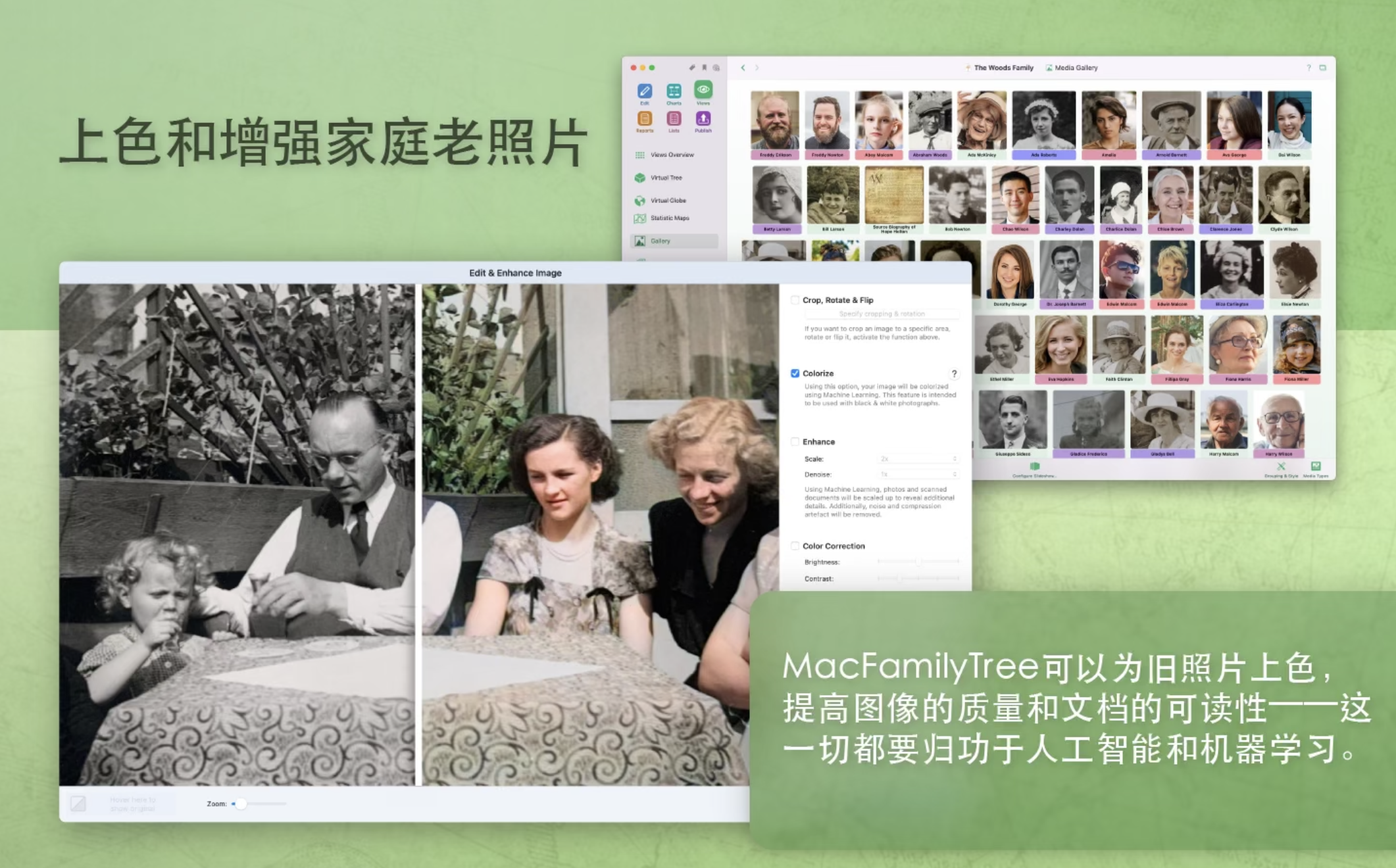 MacFamilyTree for Mac v10.1.0 中文激活版 家谱族谱制作插图5 MacFamilyTree for Mac v10.1.0 中文激活版 家谱族谱制作