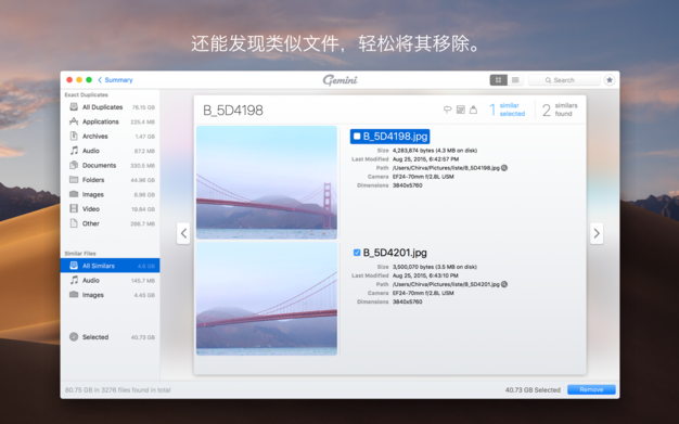 Gemini 2.6.0 高效的重复文件查找器插图1 Gemini 2.6.0 高效的重复文件查找器