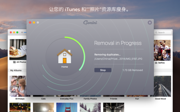 Gemini 2.6.0 高效的重复文件查找器插图2 Gemini 2.6.0 高效的重复文件查找器