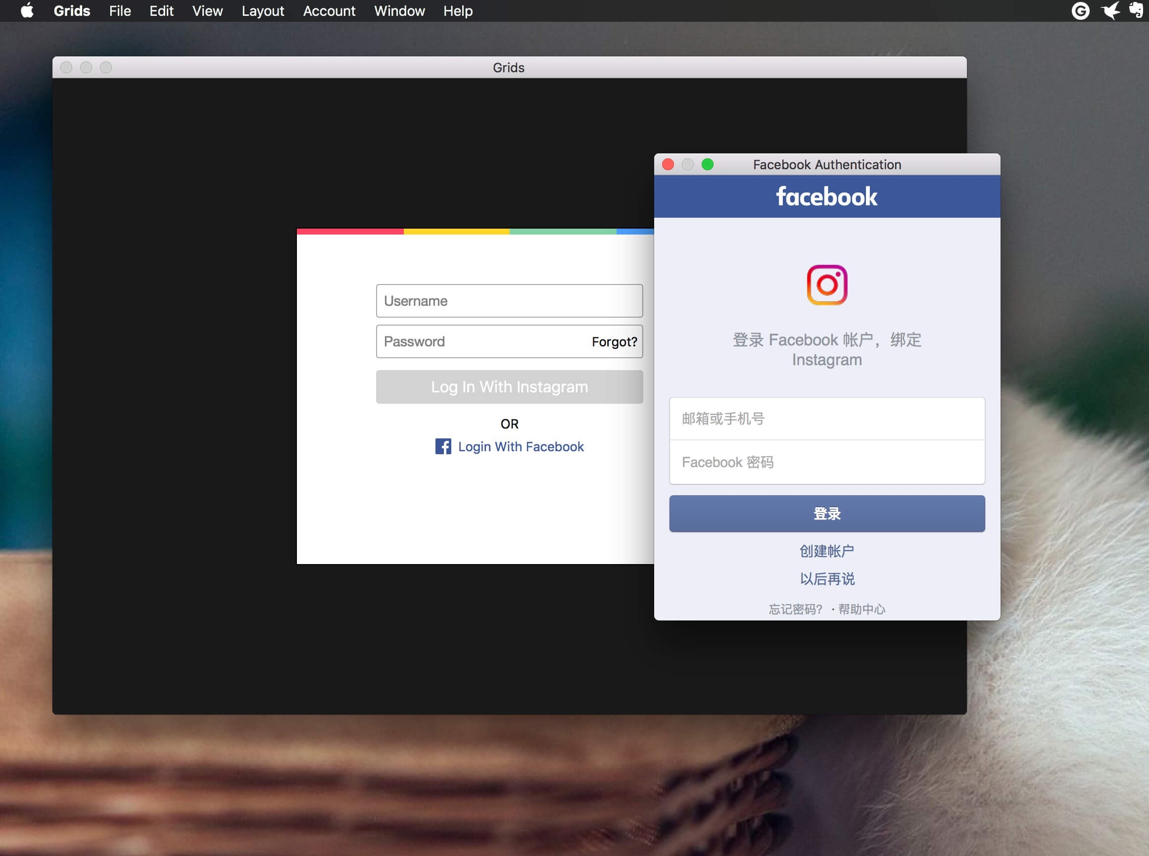 Grids 6.1.3 Instagram客户端插图1 Grids 6.1.3 Instagram客户端