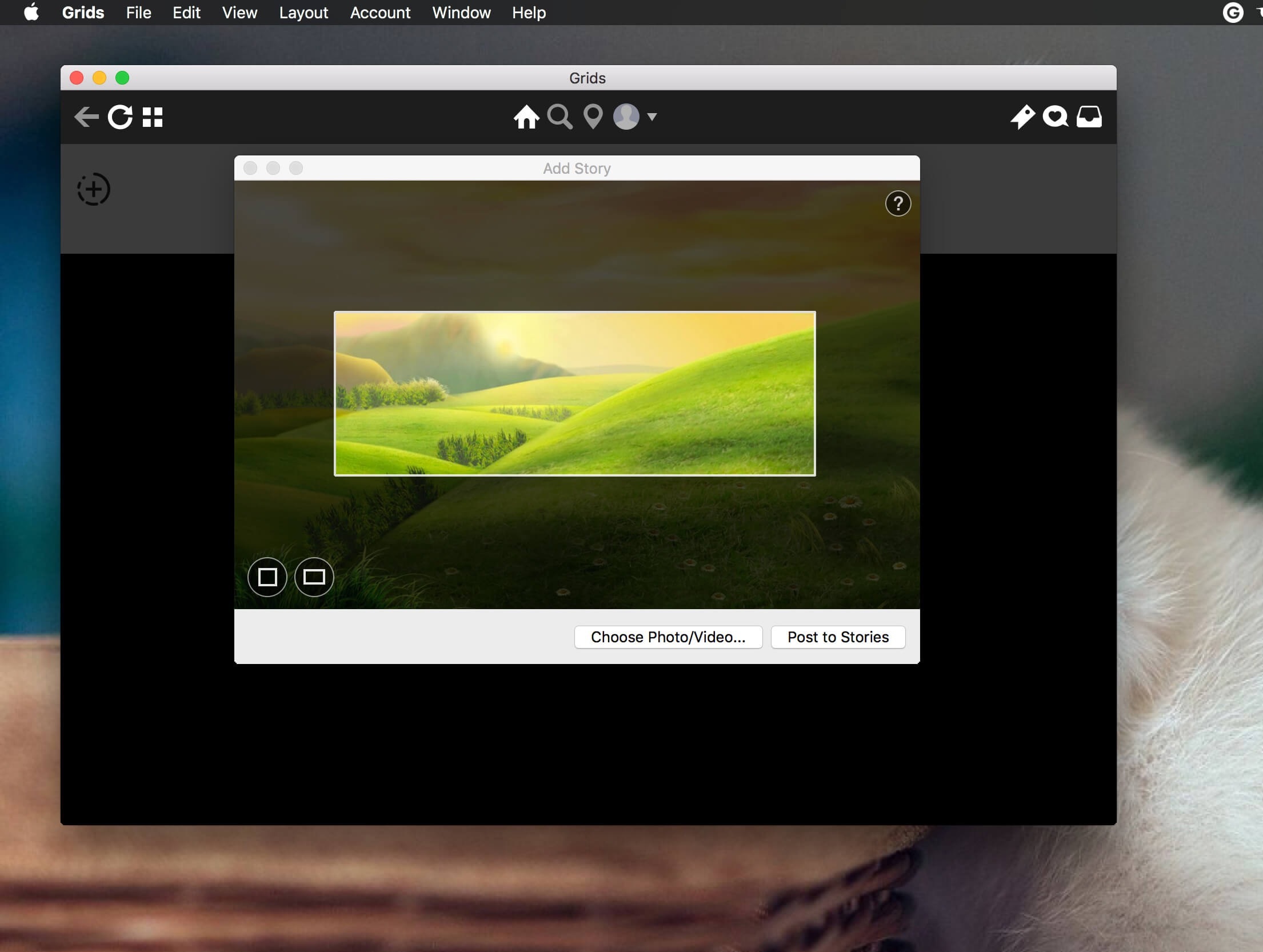 Grids 6.1.3 Instagram客户端插图2 Grids 6.1.3 Instagram客户端