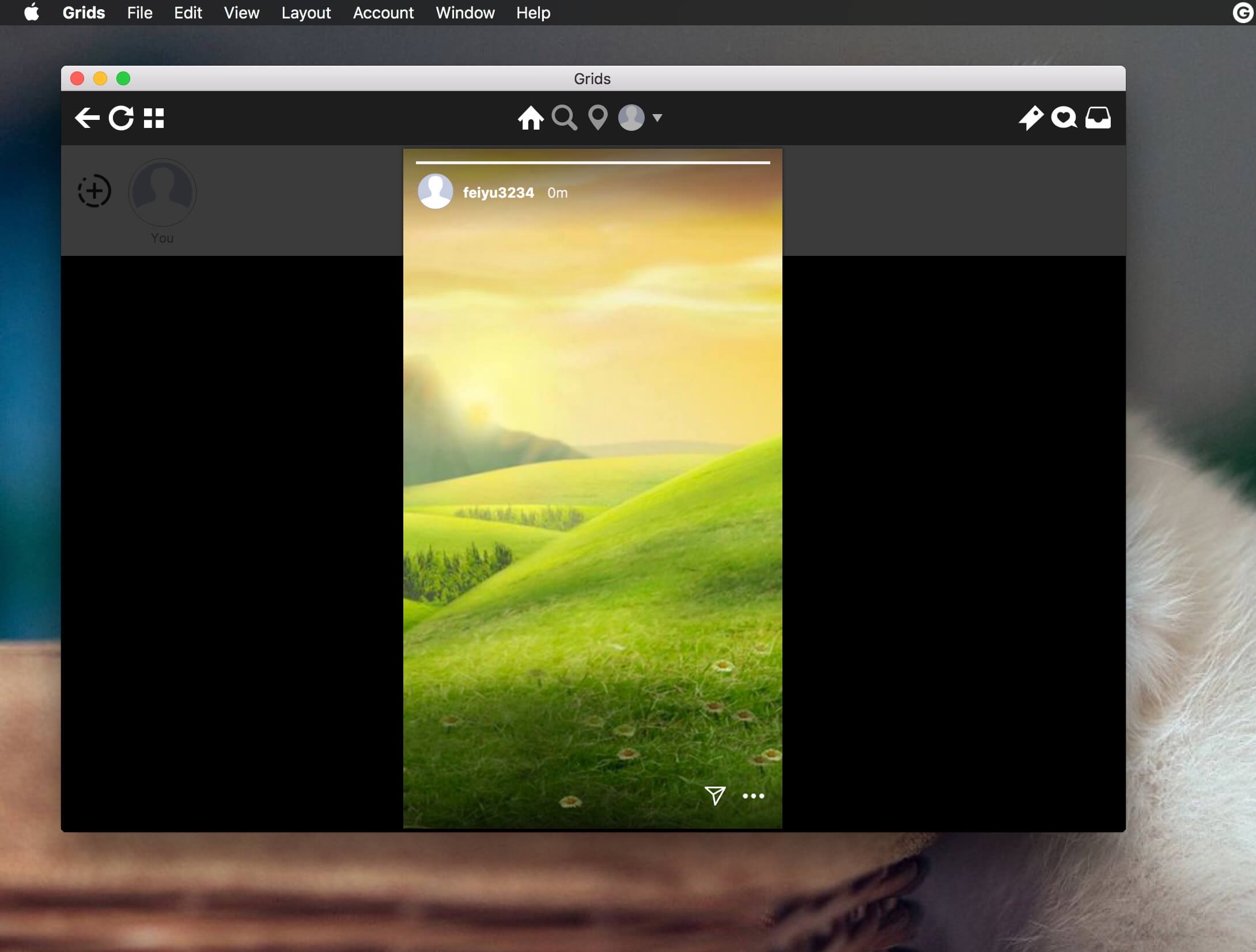Grids 6.1.3 Instagram客户端插图3 Grids 6.1.3 Instagram客户端